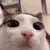LTAiswatchingyou LTAiswatchingyou