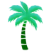 Palm572