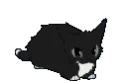 maxwellwiggle
