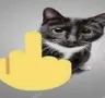 FUCYOU FUCYOU
