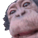 orang