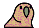 birdparty