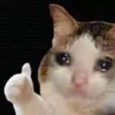 Thumbsupcat thumbsupcat Discord Emoji