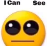 icansee