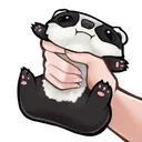 badgersqueeze