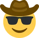 cowboysunglasses