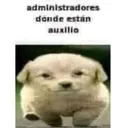 administradores