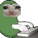 sadCATTING sadCATTING