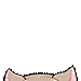 hanapeek