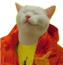 catyes