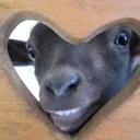 __