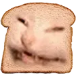 cattoast