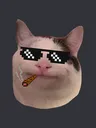 mlgcat Discord Emoji