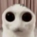 stare