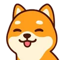 shiba
