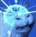 catbrain