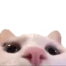 peak