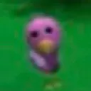 birb