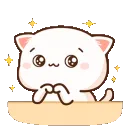 catsparkle