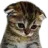 sadcat_pb sadcat_pb