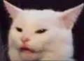 cat_fee