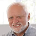 meme_harold2