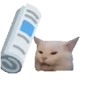 bonkCat
