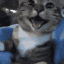 catsmile animated emote from FriendZone | Make Friends ⋅ Fun Chill Active Chat ⋅ VC Social Gaming ⋅ Memes ⋅ Nitro Emojis ⋅ Anime