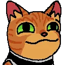 Stray_Pop