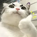 Catto_thumbsup