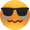 9951silentcryingwithsunglasses