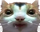 guh