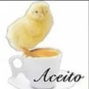 aceito