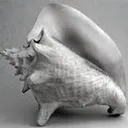 conchDespair