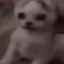 meLon