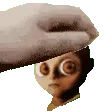 babypet