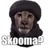 Skooma_FE