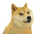 doge