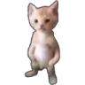 michael michael