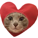 :ch_catheart: