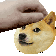 pet