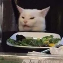 Confused Cat confused_cat Discord Emoji