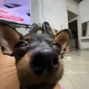 sped_stare