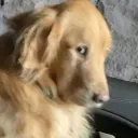 Sideeye