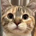 scarelrrmwa