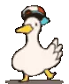 dancinggoose
