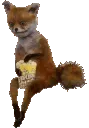 foxpopcorn foxpopcorn