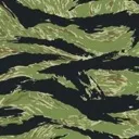 tigerstripe