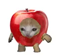 sadapplecat Discord Emoji
