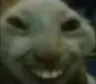 xdd